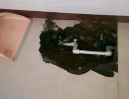 五指山卫生间测漏水多少钱